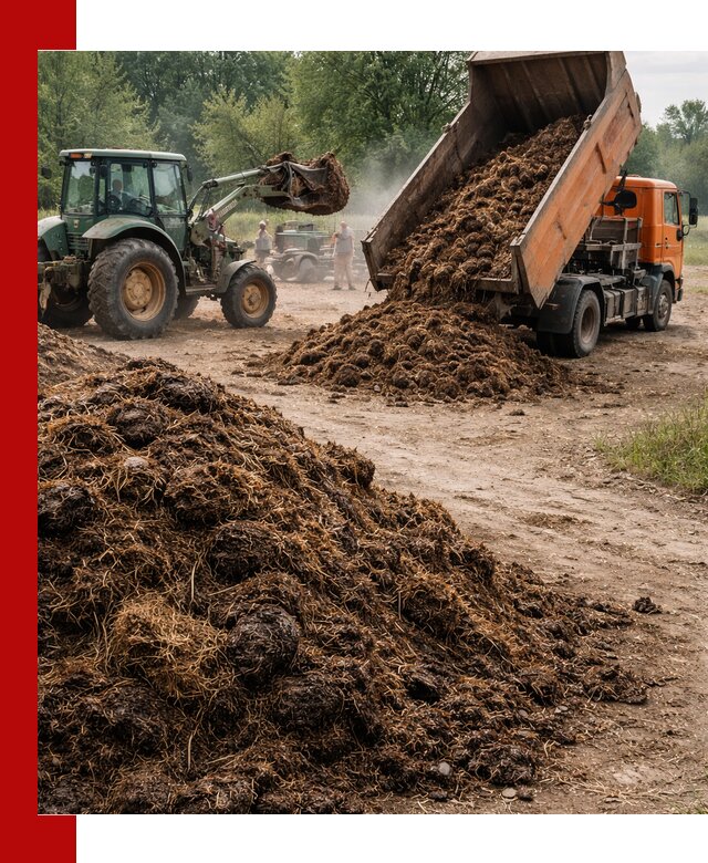 Доставка навоза самосвалами в находке для сельхозпотребностей